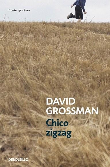 CHICO ZIGZAG | 9788499894805 | GROSSMAN, DAVID | Llibreria La Gralla | Librería online de Granollers