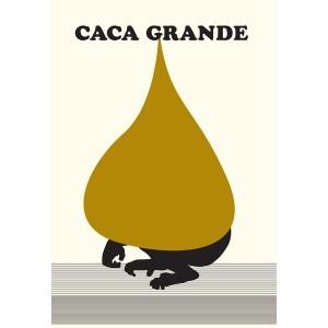 CACA GRANDE | 9788492480647 | AMORALES, CARLOS | Llibreria La Gralla | Llibreria online de Granollers