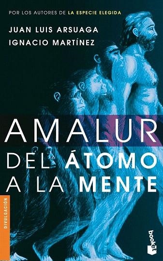 AMALUR (BOOKET, 3066) | 9788484605393 | MARTINEZ, IGNACIO; ARSUAGA, JUAN LUIS | Llibreria La Gralla | Llibreria online de Granollers