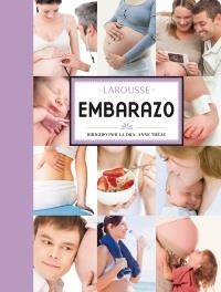 EMBARAZO | 9788480169929 | THEAU, ANNE | Llibreria La Gralla | Llibreria online de Granollers