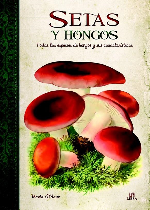 SETAS Y HONGOS | 9788466224529 | ALDAVE, MARÍA | Llibreria La Gralla | Librería online de Granollers