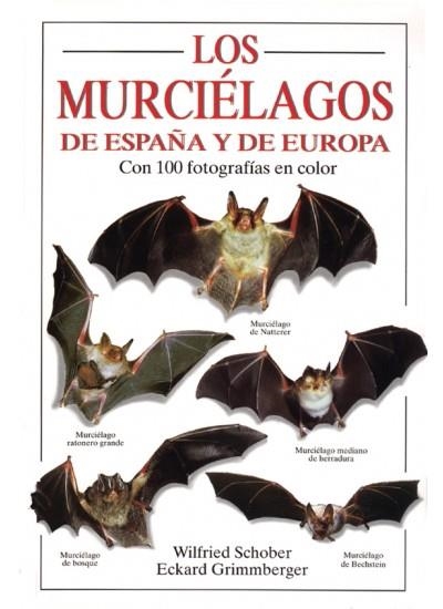 MURCIELAGOS DE ESPAÑA Y DE EUROPA, LOS | 9788428210140 | SCHOBER, WILFRIED | Llibreria La Gralla | Librería online de Granollers