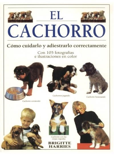 CACHORRO, EL | 9788428210997 | HARRIES, BRIGITTE | Llibreria La Gralla | Llibreria online de Granollers