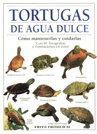 TORTUGAS DE AGUA DULCE | 9788428210980 | FRÖHLICH, FRITZ | Llibreria La Gralla | Llibreria online de Granollers