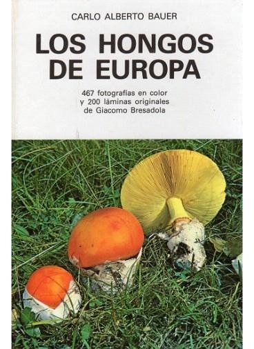 HONGOS DE EUROPA, LOS | 9788428206662 | Bauer, Carlo Alberto | Llibreria La Gralla | Librería online de Granollers