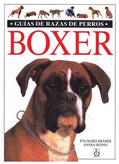 BOXER | 9788428211222 | KRAMER, EVA-MARIA | Llibreria La Gralla | Llibreria online de Granollers