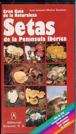 SETAS DE LA PENINSULA IBERICA | 9788424126896 | MUÑOZ SANCHEZ, JOSE ANTONIO | Llibreria La Gralla | Librería online de Granollers