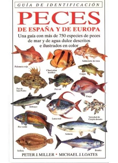 PECES DE ESPAÑA Y DE EUROPA (GUIA DE IDENTIFICACIÓN) | 9788428211239 | MILLER, PETER J. / LOATES, MICHAEL J. | Llibreria La Gralla | Llibreria online de Granollers