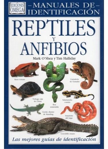 REPTILES Y ANFIBIOS (MANUALES DE IDENTIFICACION) | 9788428212021 | O'SHEA, MARK; HALLIDAY, TIM | Llibreria La Gralla | Librería online de Granollers