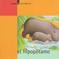 HIPOPOTAMO, EL (CUATRO ESTACIONES) | 9788424617349 | DURAN, TERESA (ADAP); TRABACCHI, MARTA (ILUSTR) | Llibreria La Gralla | Llibreria online de Granollers