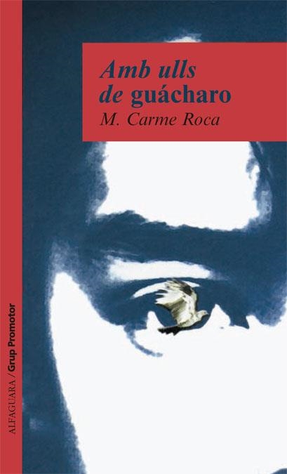 AMB ULLS DE GAUCHARO | 9788484353904 | ROCA, MARI CARMEN | Llibreria La Gralla | Librería online de Granollers