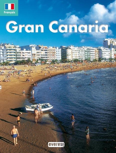 GRAN CANARIA (GUIA RECUERDA) | 9788424102296 | VICENTE SÁNCHEZ ARAÑA | Llibreria La Gralla | Llibreria online de Granollers