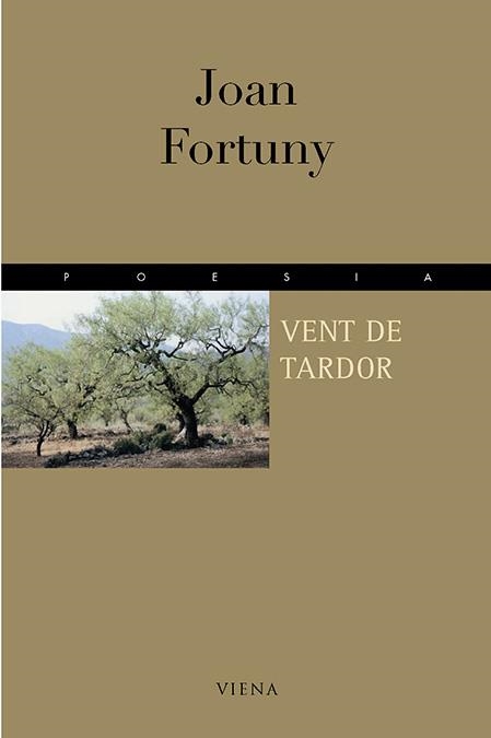 VENT DE TARDOR | 9788483301609 | FORTUNY, JOAN | Llibreria La Gralla | Llibreria online de Granollers