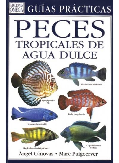 PECES TROPICALES DE AGUA DULCE (GUIAS PRACTICAS) | 9788428212076 | CANOVAS, ANGEL / PUIGCERVER, MARC | Llibreria La Gralla | Librería online de Granollers