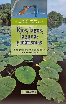 RIOS, LAGOS, LAGUNAS Y MARISMAS (ECOGUIA PARA DESCUBRIR LA N | 9788489840331 | VARIOS AUTORES | Llibreria La Gralla | Llibreria online de Granollers