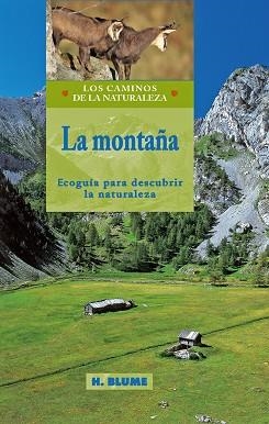 MONTAÑA, LA | 9788489840324 | VARIOS AUTORES | Llibreria La Gralla | Llibreria online de Granollers