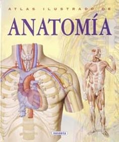 ATLAS ILUSTRADO DE ANATOMIA | 9788430534784 | RIGUTTI, ADRIANA | Llibreria La Gralla | Llibreria online de Granollers