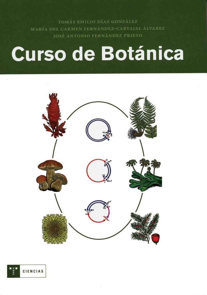 CURSO DE BOTANICA | 9788497041133 | DIAZ GONZALEZ, TOMAS EMILIO/FERNANDEZ CARVAJAL ALV | Llibreria La Gralla | Librería online de Granollers