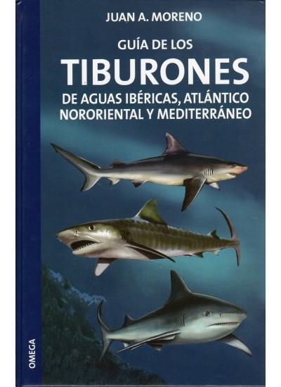 GUIA DE LOS TIBURONES DE AGUAS IBERICAS, ATLANTICO NORORIENT | 9788428213677 | MORENO, JUAN A. | Llibreria La Gralla | Llibreria online de Granollers