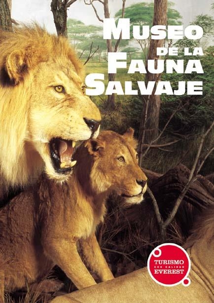 MUSEO DE LA FAUNA SALVAJE | 9788424105136 | MUSEO DE LA FAUNA SALVAJE DE VALDEHUESA | Llibreria La Gralla | Llibreria online de Granollers