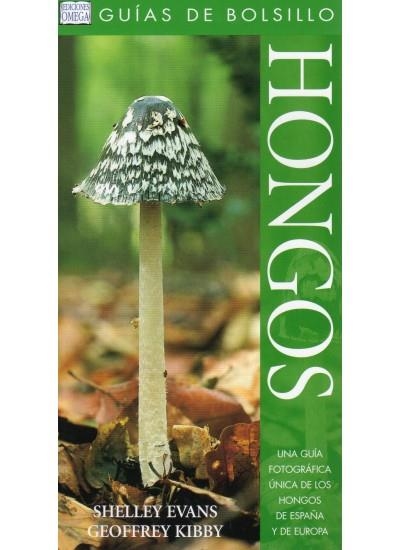 HONGOS (GUIAS DE BOLSILLO) | 9788428210898 | EVANS, SHELLEY / KIBBY, GEOFFREY | Llibreria La Gralla | Llibreria online de Granollers