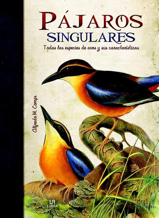 PAJAROS SINGULARES. TODAS LAS ESPECIES DE AVES Y SUS CARACTERÍSTICAS | 9788466224512 | SVETOSLAVA STAYKOVA, CLARA | Llibreria La Gralla | Llibreria online de Granollers