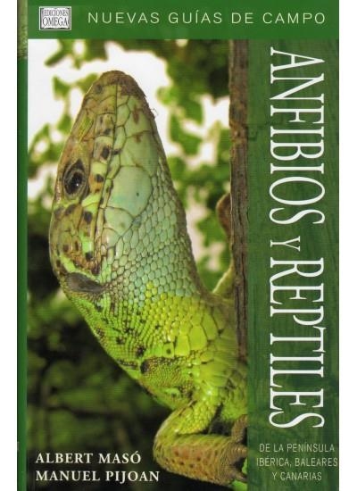 ANFIBIOS Y REPTILES DE LA PENINSULA IBERICA BALEARES Y CANARIA | 9788428213684 | MASÓ, ALBERT; PIJOAN, MANUEL | Llibreria La Gralla | Llibreria online de Granollers