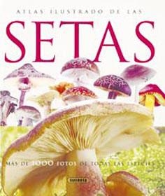 ATLAS ILUSTRADO DE LAS SETAS | 9788430547210 | LAMAISON, JEAN-LOUIS/POLESE, JEAN-MARIE | Llibreria La Gralla | Llibreria online de Granollers