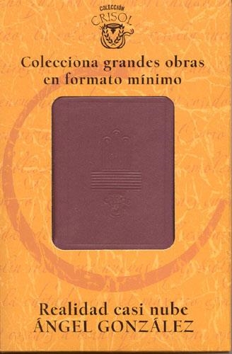 REALIDAD CASI NUBE (CRISOL) | 9788403096363 | GONZALEZ, ANGEL | Llibreria La Gralla | Llibreria online de Granollers