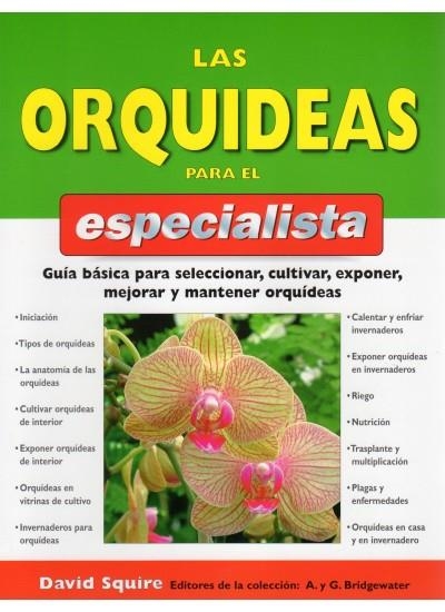 ORQUIDEAS PARA EL ESPECIALISTA, LAS | 9788428214193 | SQUIRE, DAVID | Llibreria La Gralla | Librería online de Granollers