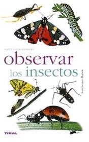 OBSERVAR LOS INSECTOS | 9788430553334 | BIGNON, JEAN-JACQUES | Llibreria La Gralla | Llibreria online de Granollers