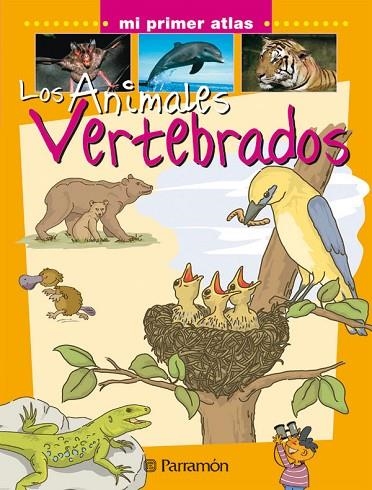 ANIMALES VERTEBRADOS, LOS (MI PRIMER ATLAS) | 9788434227118 | VARIS | Llibreria La Gralla | Llibreria online de Granollers