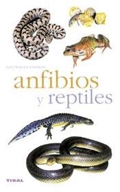 ANFIBIOS Y REPTILES | 9788430553341 | SANTIANI, MARC | Llibreria La Gralla | Llibreria online de Granollers