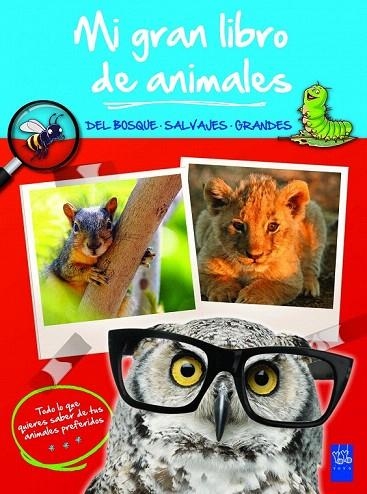 MI GRAN LIBRO DE ANIMALES. DEL BOSQUE SALVAJES GRANDES | 9788408008484 | Llibreria La Gralla | Llibreria online de Granollers