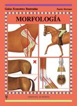 MORFOLOGIA,GUIAS ECUESTRES | 9788425513695 | HENRIQUES, PEGOTTY | Llibreria La Gralla | Llibreria online de Granollers