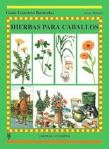 HIERBAS PARA CABALLOS | 9788425513718 | MORGAN, JENNY | Llibreria La Gralla | Llibreria online de Granollers