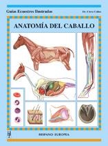 ANATOMÍA DEL CABALLO (GUIAS ECUESTRES ILUSTRADAS) | 9788425515736 | COLLES, CHRIS | Llibreria La Gralla | Llibreria online de Granollers