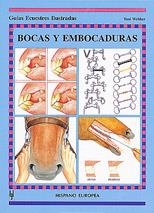 BOCAS Y EMBOCADURAS (GUIAS ECUESTRES ILUSTRADAS) | 9788425510632 | WEBBER, TONI | Llibreria La Gralla | Llibreria online de Granollers