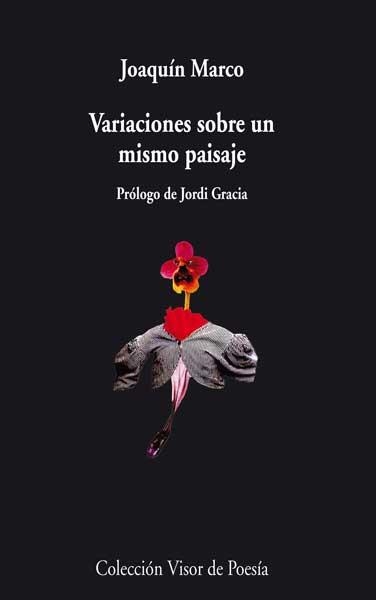 VARIACIONES SOBREUN MISMO PAISAJE | 9788498958102 | MARCO, JOAQUIN | Llibreria La Gralla | Librería online de Granollers