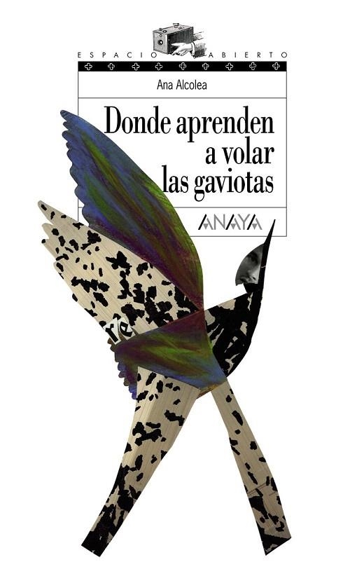 DONDE APRENDEN A VOLAR LAS GAVIOTAS (ESPACIO ABIERTO,125) | 9788466762489 | ALCOLEA, ANA | Llibreria La Gralla | Librería online de Granollers