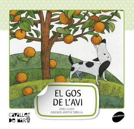 GOS DE L'AVI, EL (CAVALLET DE MAR, 1) | 9788415095507 | LLUCH GIRBÉS, ENRIC | Llibreria La Gralla | Librería online de Granollers