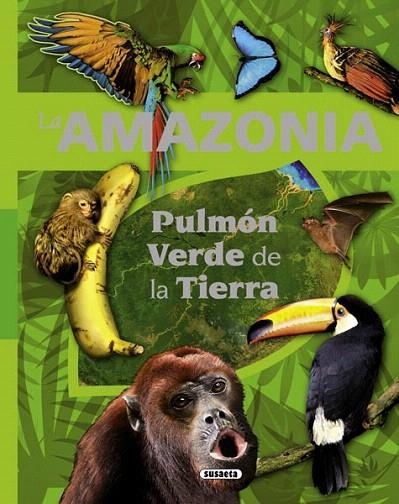 AMAZONIA, LA. PULMON VERDE DE LA TIERRA | 9788467716191 | RODRIGUEZ, CARMEN; SERRANO, JOSE MANUEL | Llibreria La Gralla | Llibreria online de Granollers