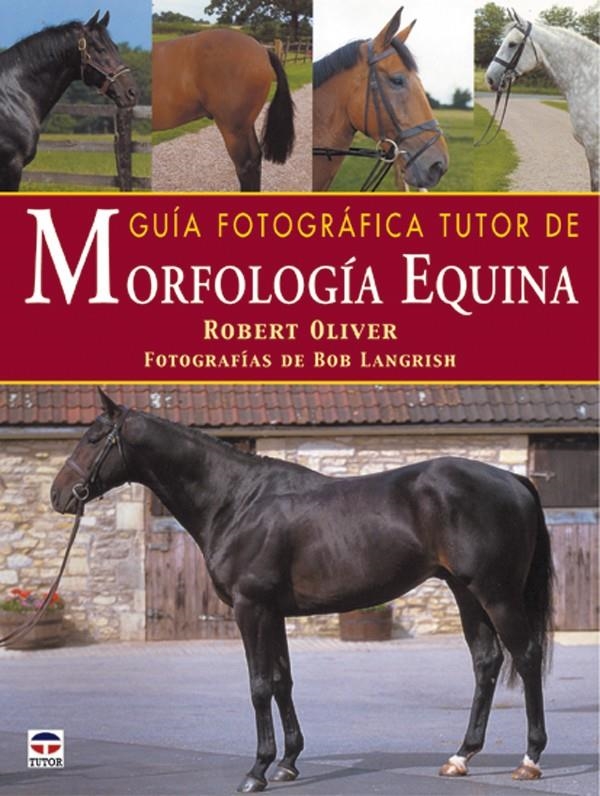 GUIA FOTOGRAFICA TUTOR DE MORFOLGIA EQUINA | 9788479024123 | OLIVER, ROBERT | Llibreria La Gralla | Llibreria online de Granollers