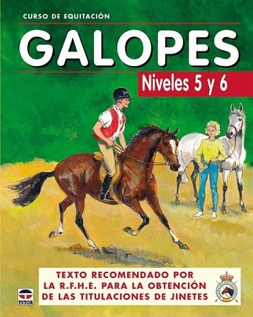 GALOPES. NIVELES 5 Y 6 (CURSO DE EQUITACION) | 9788479025625 | LOS AUTORES DE GALOPES | Llibreria La Gralla | Llibreria online de Granollers