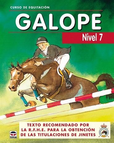 CURSO DE EQUITACION GALOPE. NIVEL 7 | 9788479025823 | GOAS DIAZ, ANA | Llibreria La Gralla | Llibreria online de Granollers