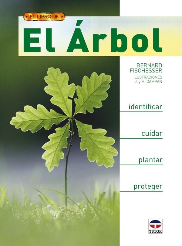 ARBOL,EL (EL LIBRO DE) | 9788479027834 | FISCHESSER,BERNARD | Llibreria La Gralla | Llibreria online de Granollers