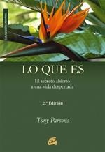 LO QUE ES | 9788484450641 | PARSONS, TONY | Llibreria La Gralla | Librería online de Granollers