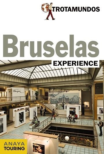 BRUSELAS TROTAMUNDOS EXPERIENCE 2013 | 9788415501299 | Llibreria La Gralla | Llibreria online de Granollers