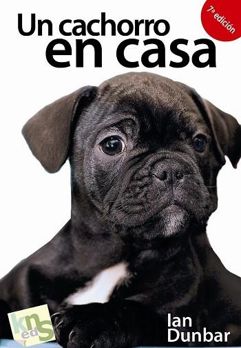 CACHORRO EN CASA, UN | 9788493460938 | DUNBAR, IAN | Llibreria La Gralla | Llibreria online de Granollers