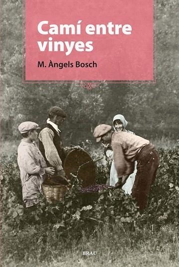 CAMÍ ENTRE VINYES | 9788496905924 | BOSCH, M. ÀNGELS | Llibreria La Gralla | Llibreria online de Granollers